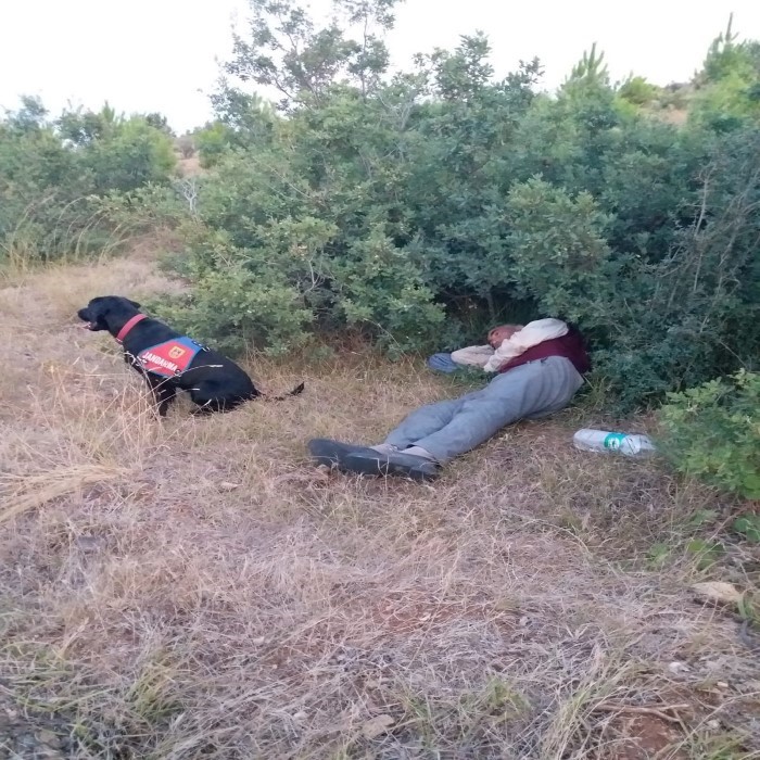 ROKA İSİMLİ JANDARMA İZ TAKİP KÖPEĞİ HAYAT KURTARDI Çanakkale Web Haber