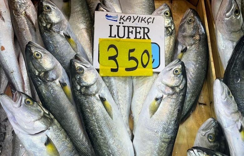 Çanakkale'de Lüfer Fiyatı Düştü
