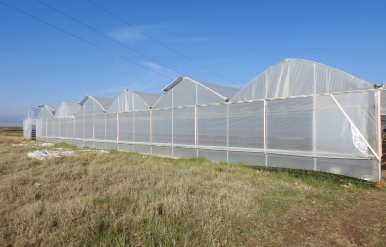 İL ÖZEL İDARESİ AYVACIK SERA İHTİSAS OSB’YE %51 İLE HİSSE İLE KURUCU ÜYE OLACAK